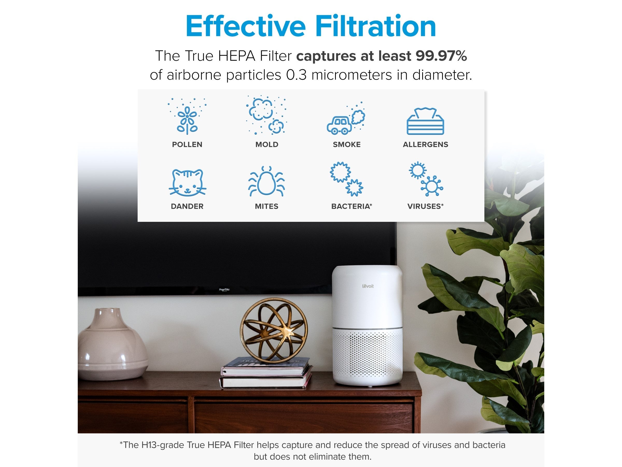Levoit True HEPA 4-Stage Mold and Bacteria Filter