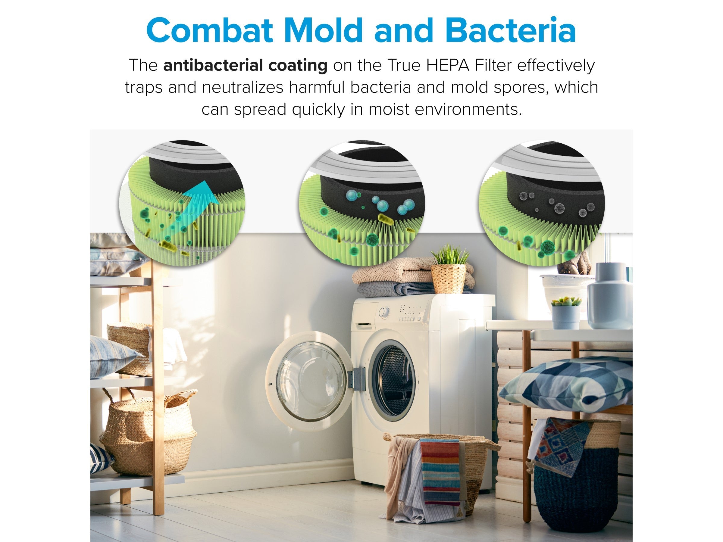 Levoit True HEPA 4-Stage Mold and Bacteria Filter